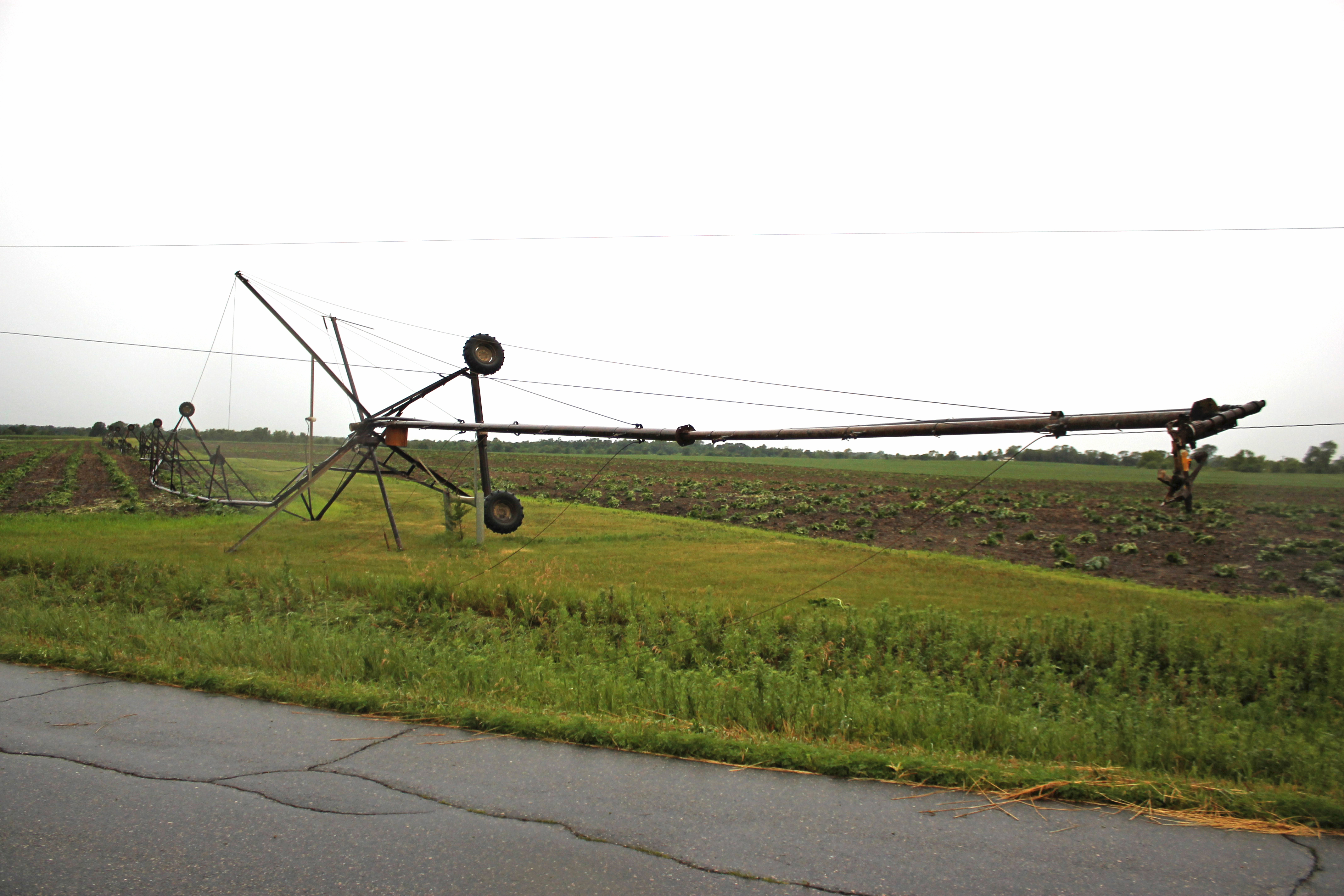 An irrigation system wrapped up in power lines. 